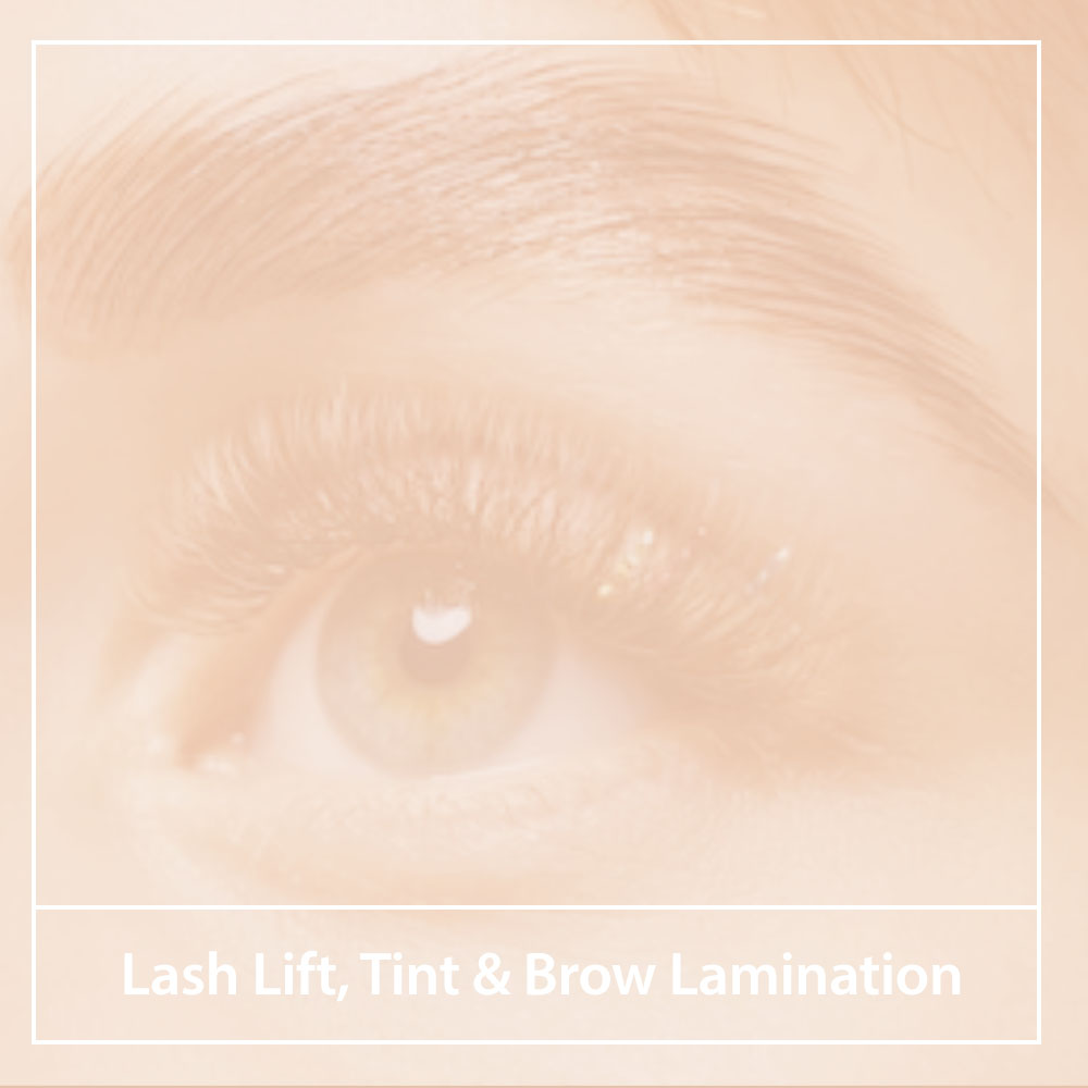 Lash Lift brow lamination training course